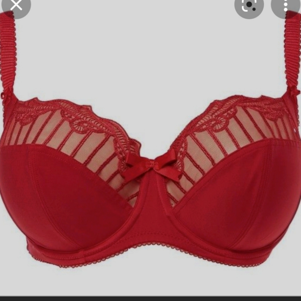 Charnos Sienna 36E red bra